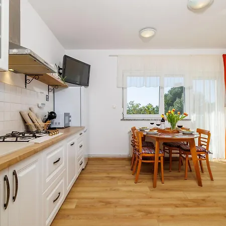 Iva * 크리크베니카