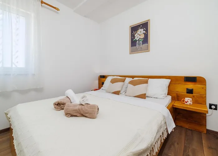 Iva 크리크베니카