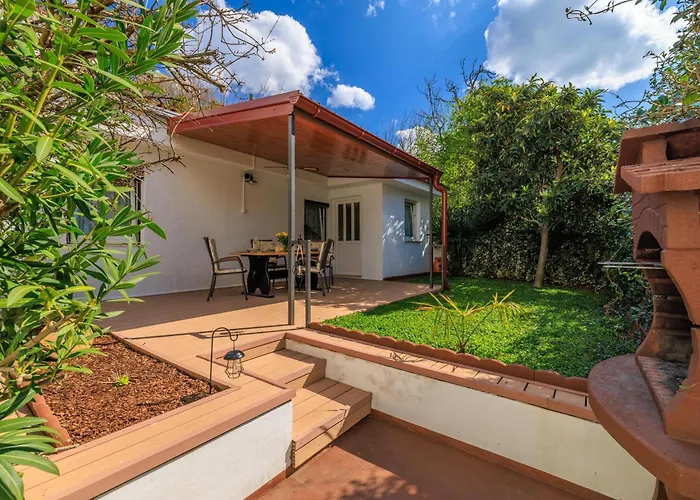 Iva 크리크베니카